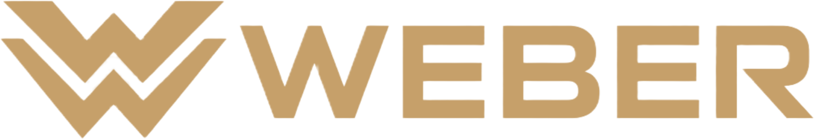WEBER Desenvolvedor Web